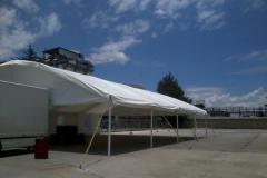 Carpas Gigantes