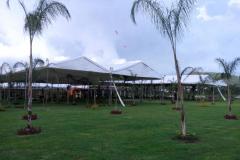 carpas-toluca-02892