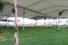 carpas-toluca-02910