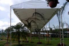 toldos-carpas-toluca-02898