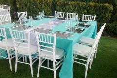 silla-tiffany-manteleria-verde